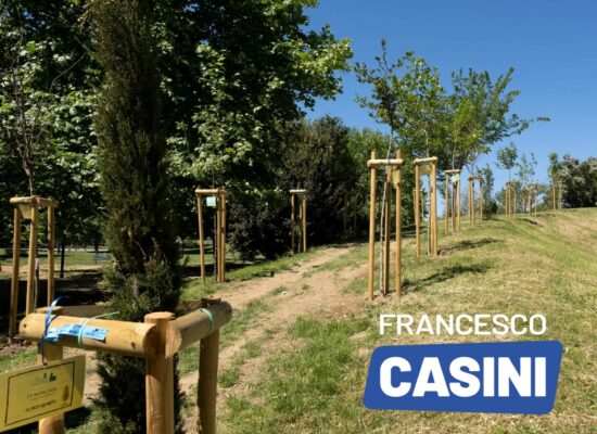 Copia di immagini sito 13