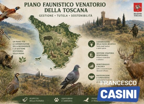 Copia di immagini sito 4